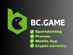 Solving Login Problems on BC Game in the USA