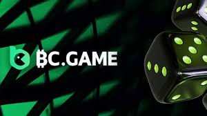 Understanding BC.Game KYC A Comprehensive Guide -796441200 Understanding BC.Game KYC A Comprehensive Guide -796441200