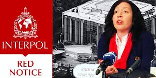 Understanding the Role of Interpol Defense Lawyers 1330919926